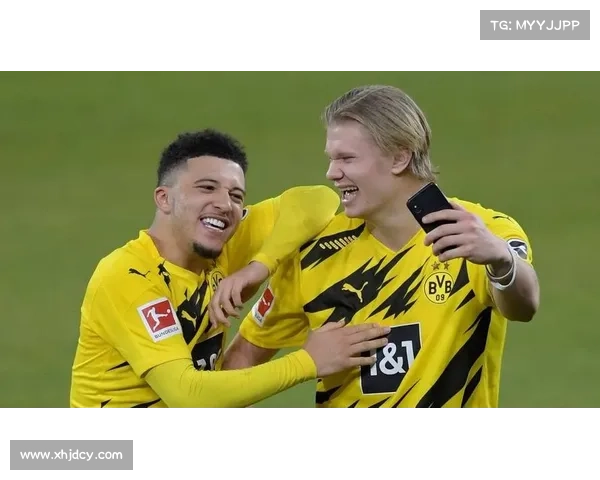 如何应对50万欧转会费的巨大挑战与机遇分析